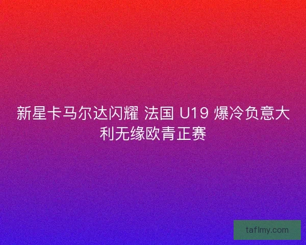 新星卡马尔达闪耀 法国 U19 爆冷负意大利无缘欧青正赛